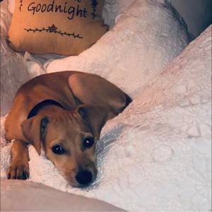 Meet your Posher, Nora